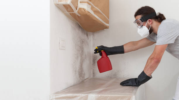 Professional Attic Mold Removal technician working in Louisville, IL