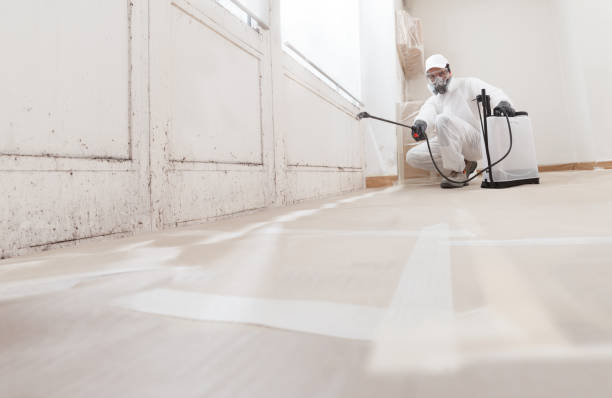 24/7 Emergency Attic Mold Removal experts in Louisville, IL